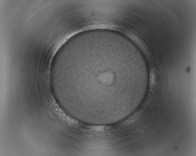 X0000116040828200912111437