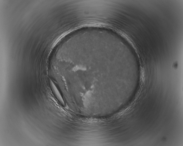 X0000116040829200912111437