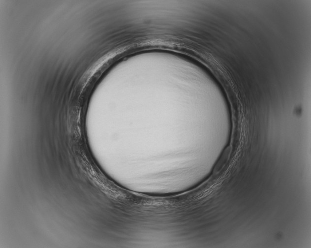 X0000116040830200912111437