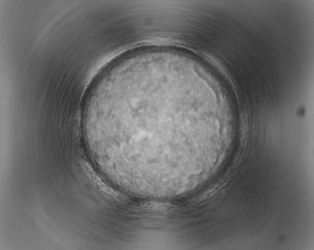 X0000116040831200912111437