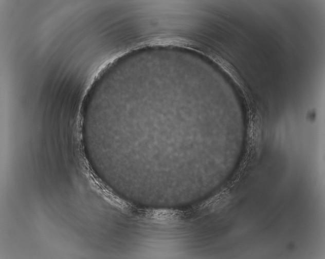 X0000116040832200912111437