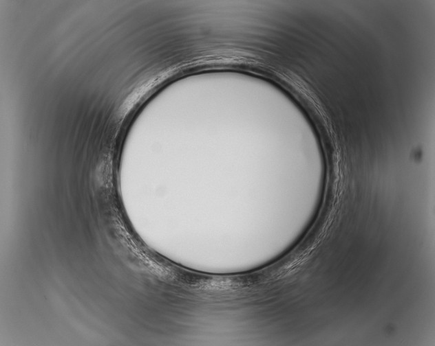 X0000116040834200912111437