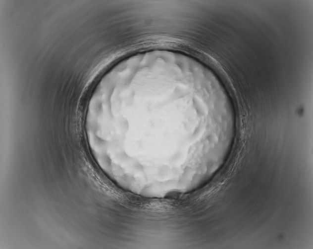 X0000116040835200912111437