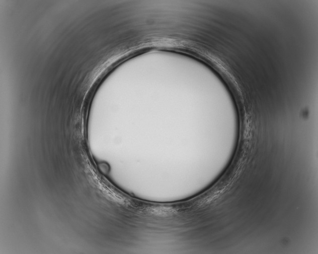 X0000116040837200912111437