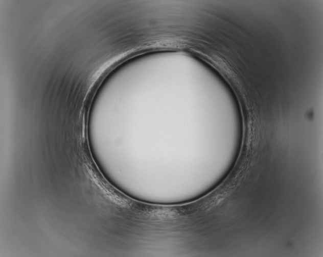 X0000116040838200912111437