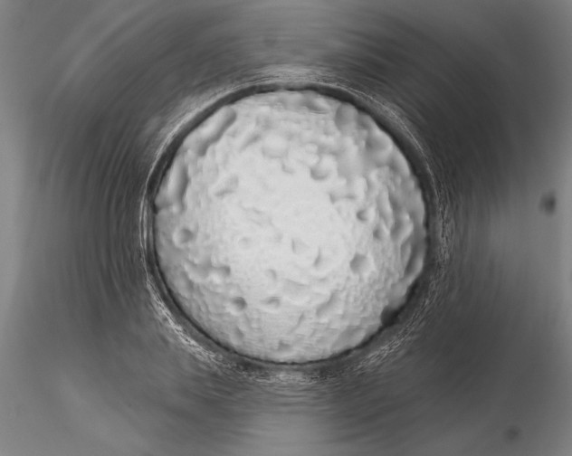 X0000116040839200912111437