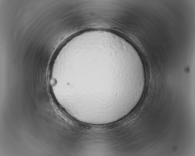 X0000116040840200912111437