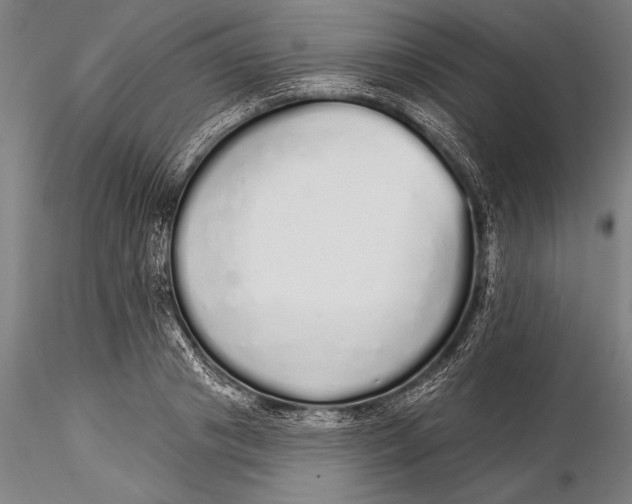 X0000116040841200912111437