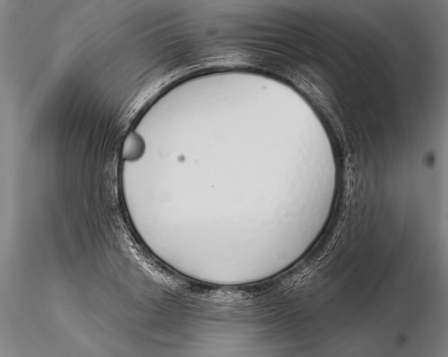 X0000116040842200912111437