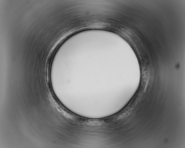 X0000116040843200912111437