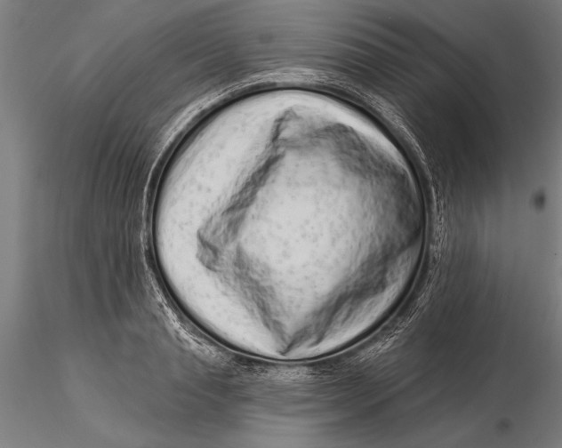 X0000116040845200912111437