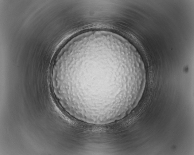 X0000116040847200912111438