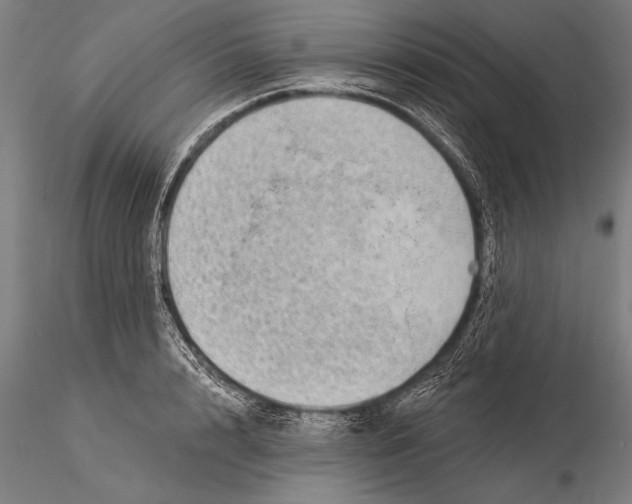 X0000116040848200912111438