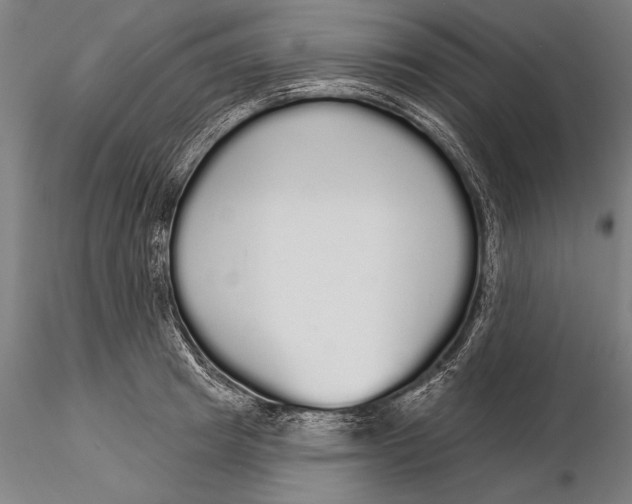 X0000116040849200912111438