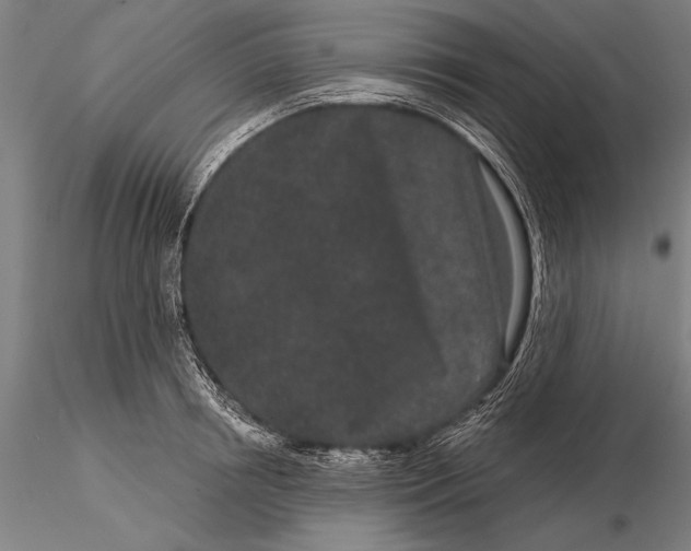 X0000116040850200912111438