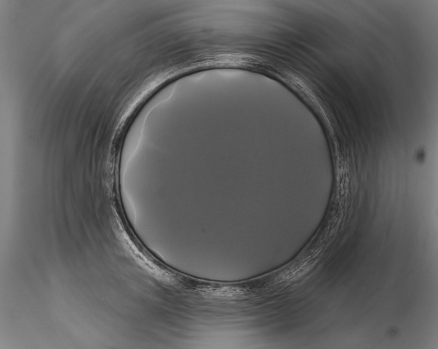 X0000116040851200912111438