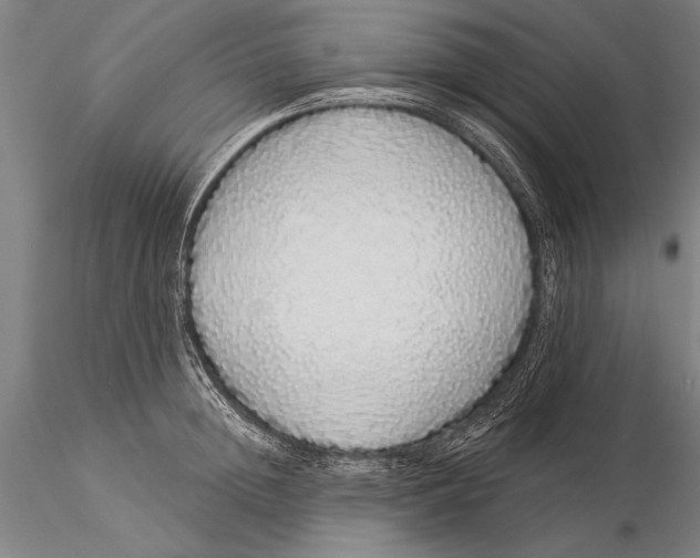 X0000116040852200912111438