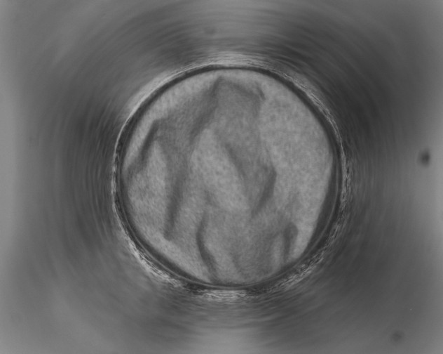 X0000116040853200912111438