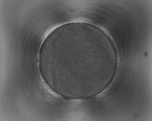 X0000116040854200912111438