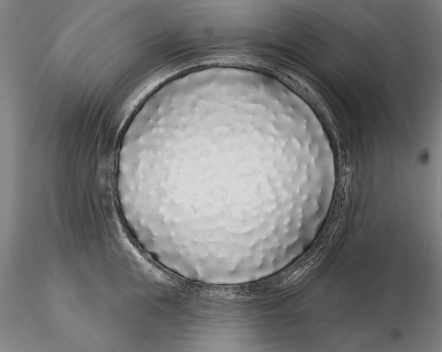 X0000116040855200912111438