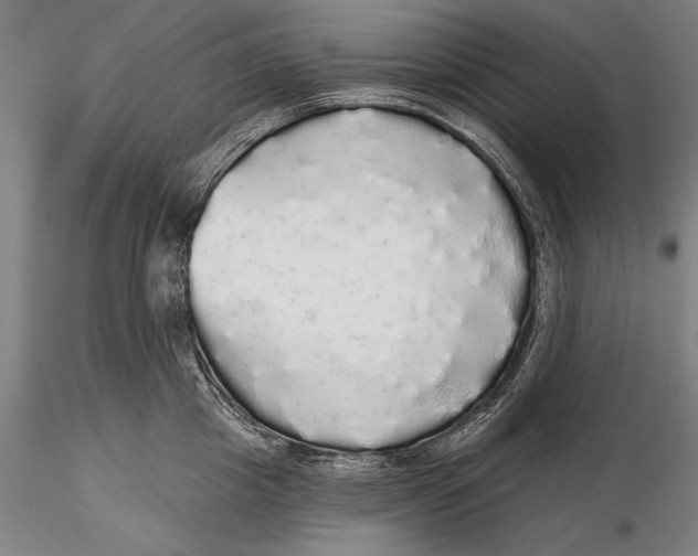 X0000116040857200912111438