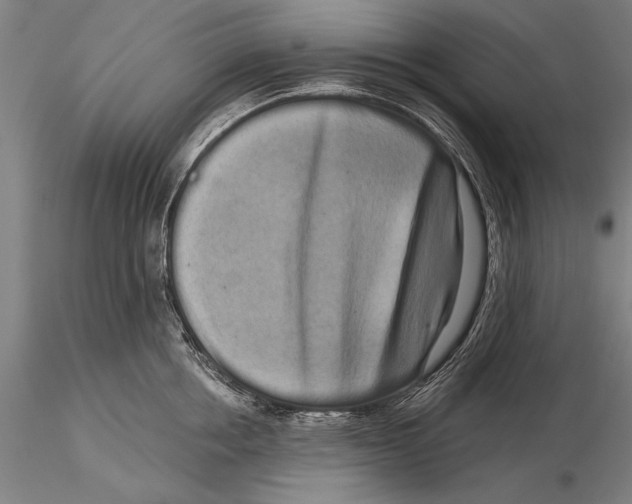 X0000116040858200912111438