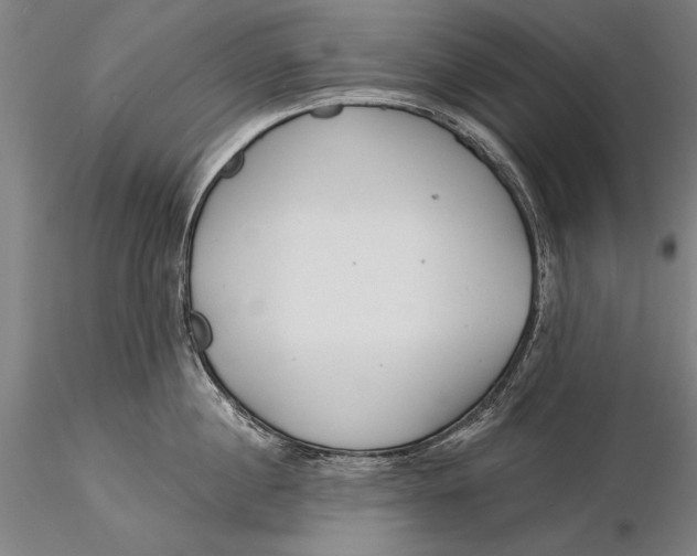 X0000116040860200912111438