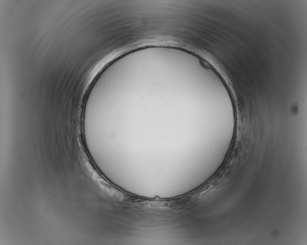 X0000116040861200912111438