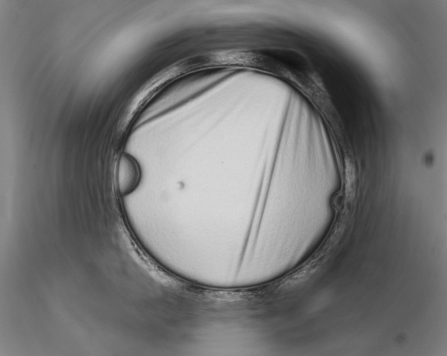 X0000116040862200912111438