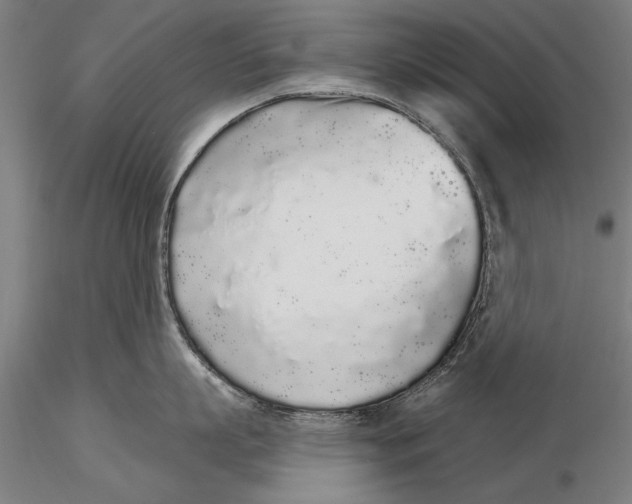 X0000116040863200912111438