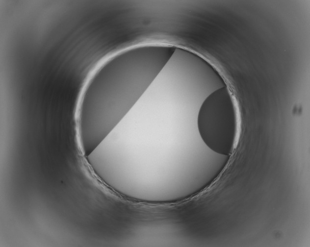 X0000116040864200912111438