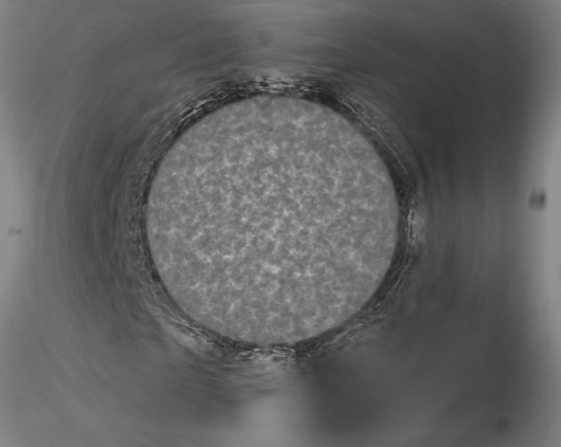 X0000116040865200912111437