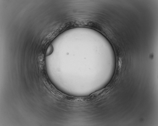 X0000116040867200912111437