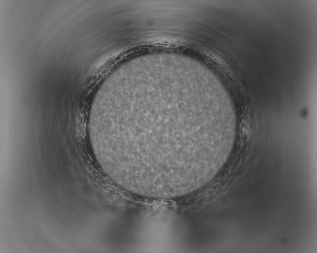 X0000116040869200912111437