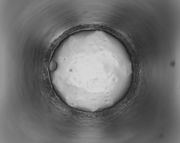 X0000116040871200912111437