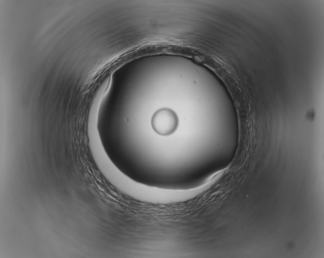 X0000116040872200912111437