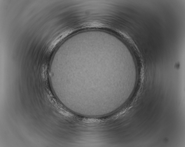 X0000116040873200912111437