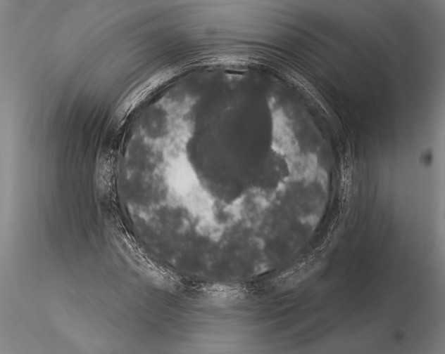 X0000116040874200912111437