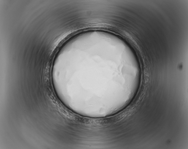 X0000116040875200912111437