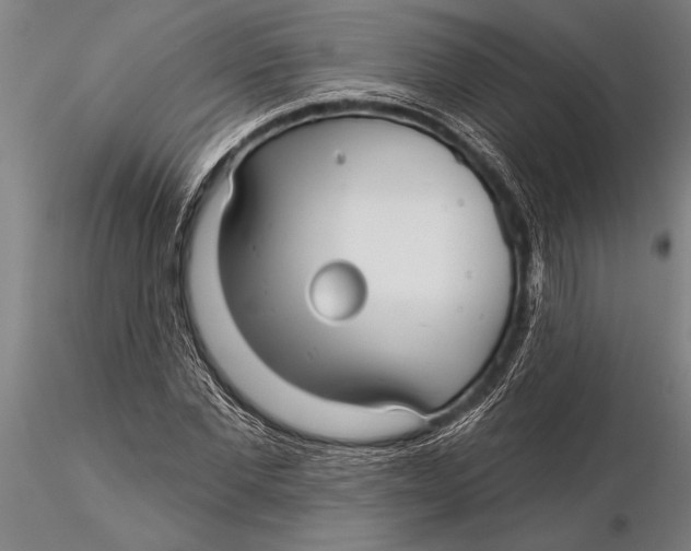 X0000116040877200912111437