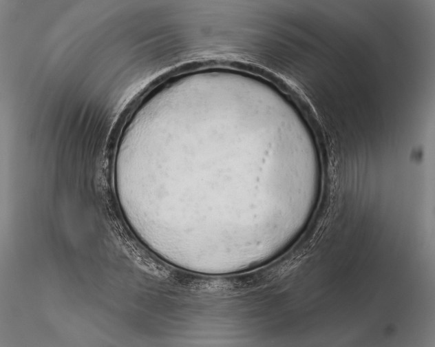 X0000116040879200912111437