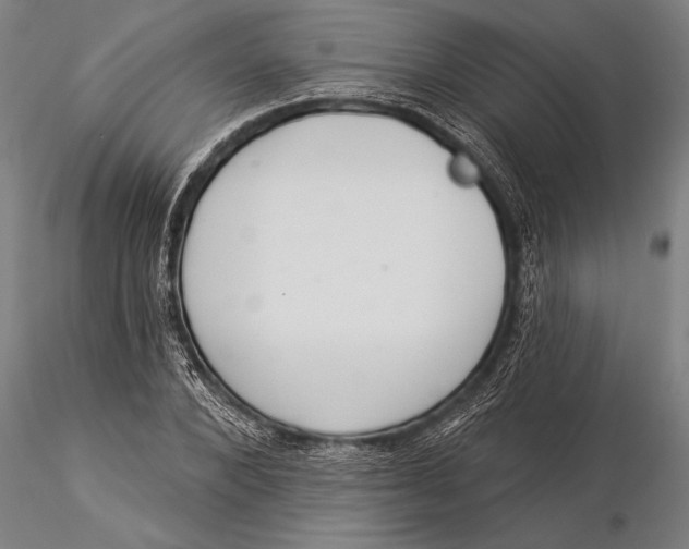 X0000116040880200912111437