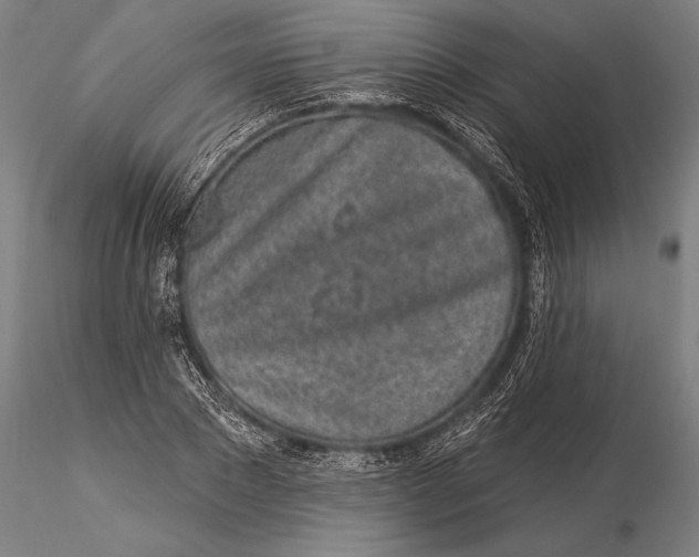 X0000116040881200912111437