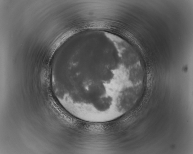 X0000116040882200912111437