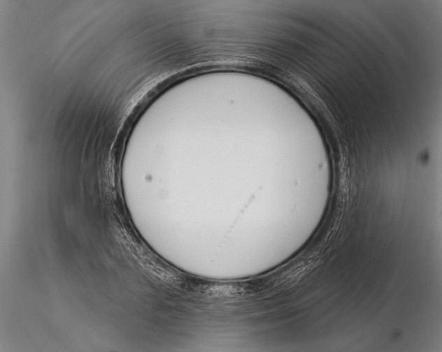 X0000116040883200912111437