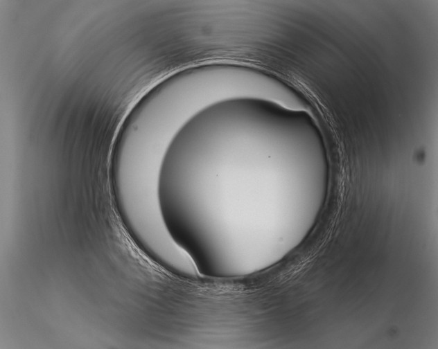 X0000116040884200912111437