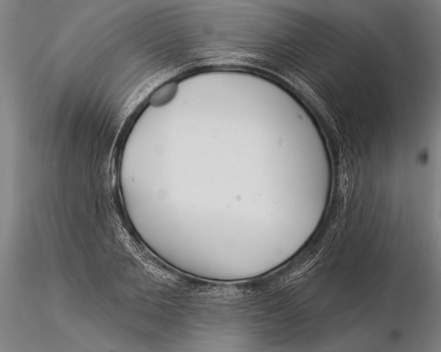 X0000116040885200912111437