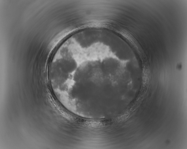 X0000116040886200912111437