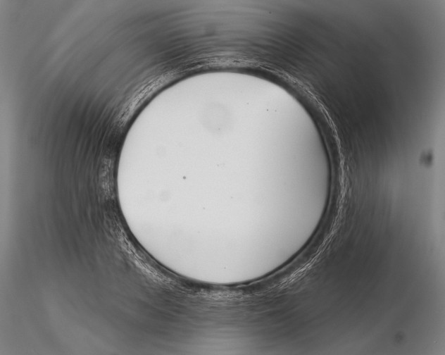 X0000116040889200912111437