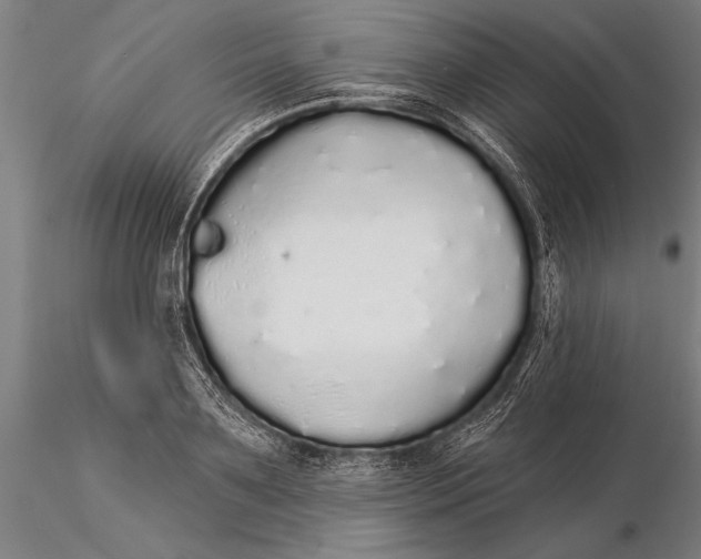 X0000116040891200912111437